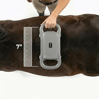 The 8-Head Red Light Recovery Gun for Horses