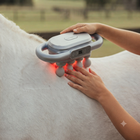 The 8-Head Red Light Recovery Gun for Horses