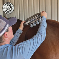 The 8-Head Red Light Recovery Gun for Horses